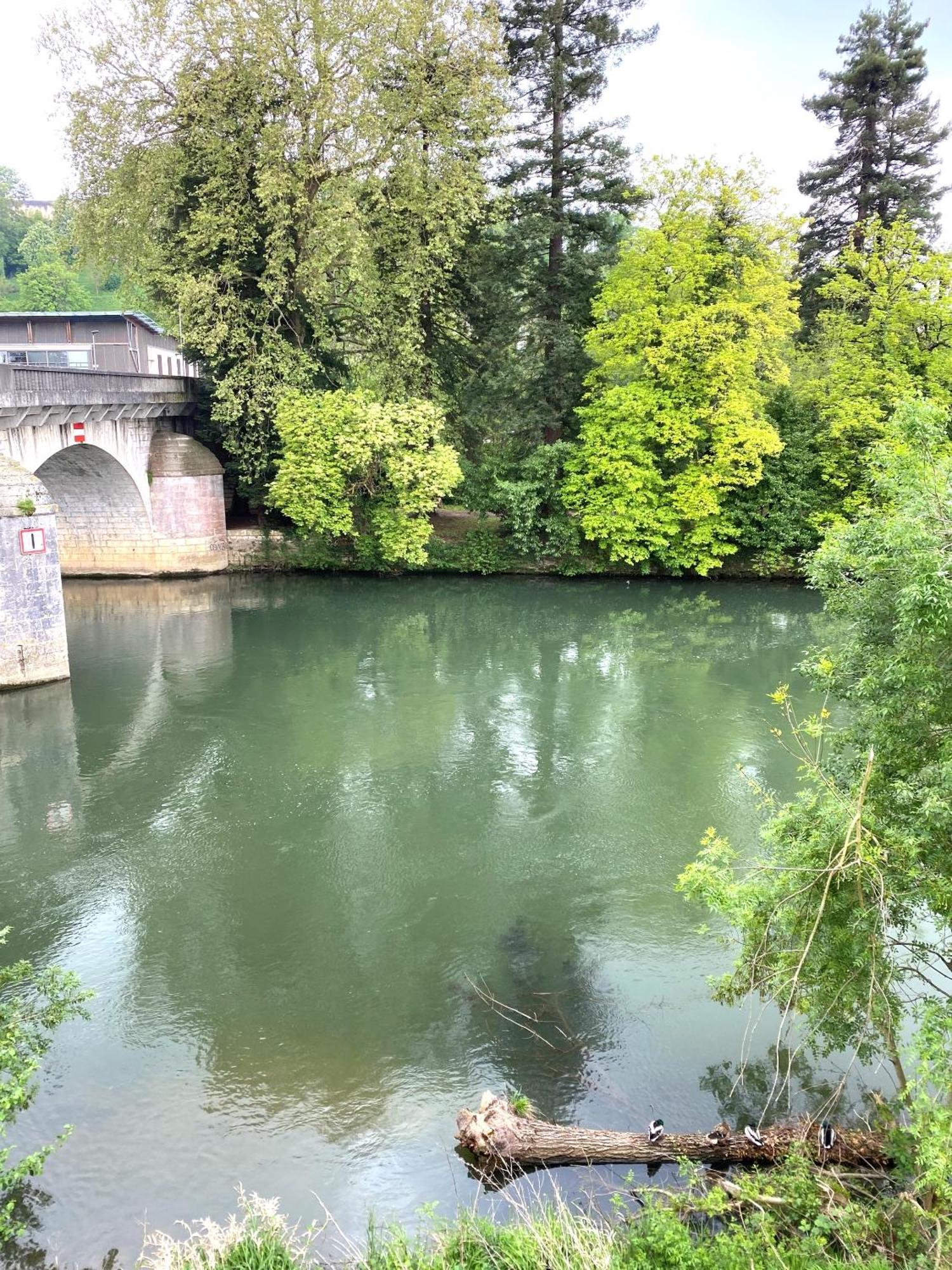 Confortable T2 Sur Les Rives De La Charente Angouleme Exterior photo